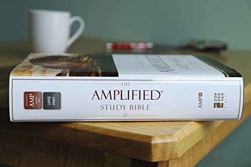 AMPLIFIED STUDY BIBLE HC