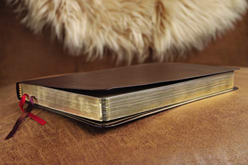 Holy Bible: New International Version, Burgundy, Bonded Leather, Thinline Bible: Red Letter Edition