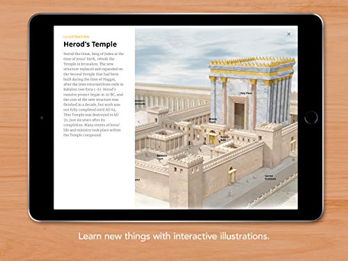 NLT Filament Bible, Black: The Print+digital Bible