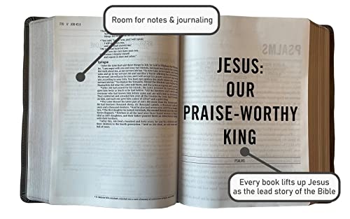 Holy Bible: New International Version, Multi-Color / Teal, Leathersoft, Study, Comfort Print