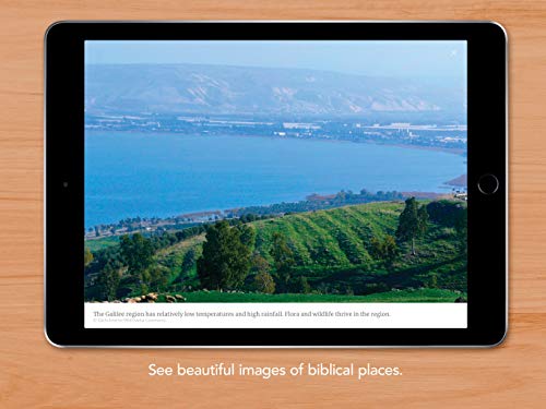 NLT Filament Bible, Black: The Print+digital Bible