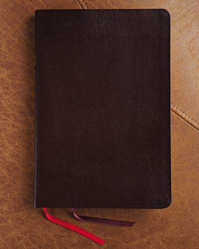 Holy Bible: New International Version, Burgundy, Bonded Leather, Thinline Bible: Red Letter Edition