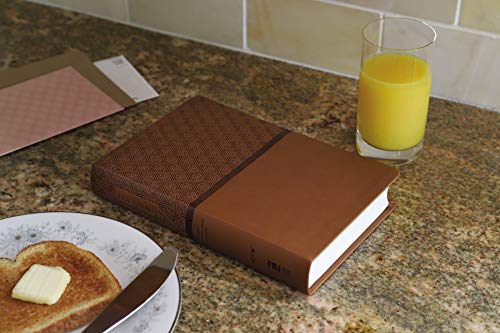 Holy Bible: New International Version, Tan, Italian Duo-tone, Readeasy Bible