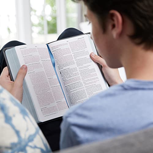 KJV, Thinline Bible Youth Edition, Leathersoft, Gray, Red Letter, Comfort Print: Holy Bible, King James Version