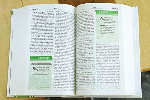 NIV, Teen Study Bible, Paperback