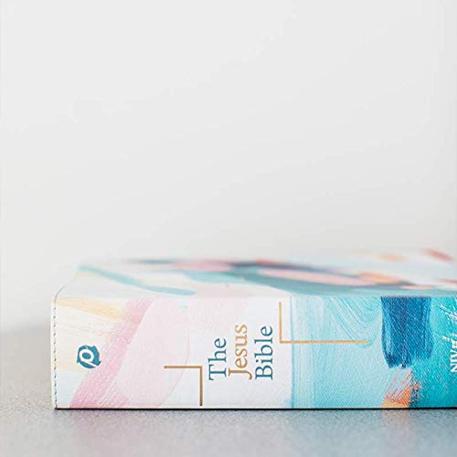 Holy Bible: New International Version, Multi-Color / Teal, Leathersoft, Study, Comfort Print
