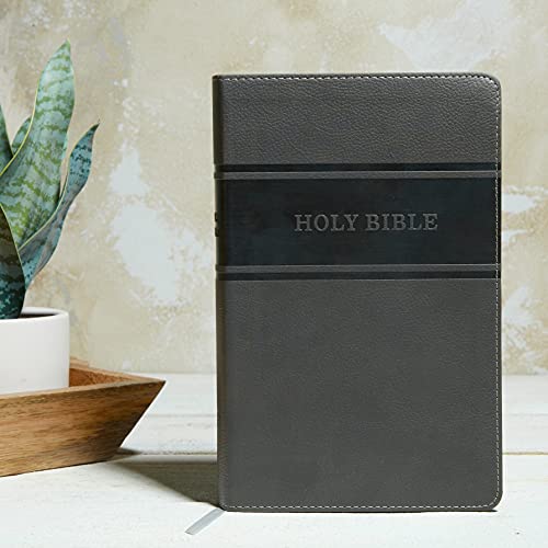 KJV, Deluxe Gift Bible, Leathersoft, Gray, Red Letter, Comfort Print: Holy Bible, King James Version