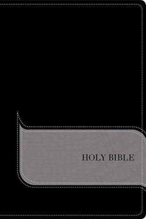 Understand the Faith Study Bible: New International Version, Black/gray, Italian Duo-tone