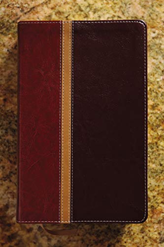 NIV & The Message Parallel Study Bible: Dark Caramel/Black Cherry Italian Duo-Tone