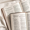 NLT Large Print Premium Value Thinline Bible, Filament Enabled Edition (Leatherlike, Brown Celtic Cross): New Living Translation, Brown Celtic Cross, ... Value Thinline Bible, Filament Enabled