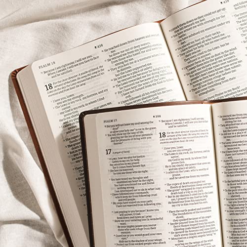 NLT Large Print Premium Value Thinline Bible, Filament Enabled Edition (Leatherlike, Brown Celtic Cross): New Living Translation, Brown Celtic Cross, ... Value Thinline Bible, Filament Enabled