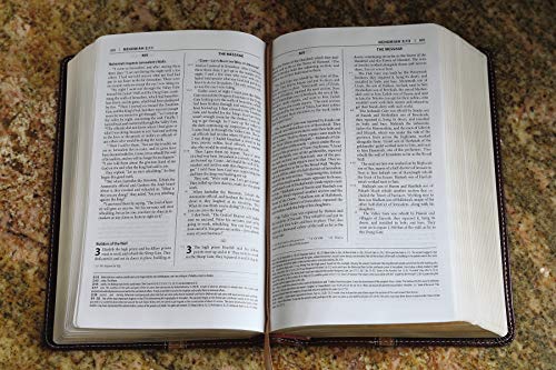 NIV & The Message Parallel Study Bible: Dark Caramel/Black Cherry Italian Duo-Tone
