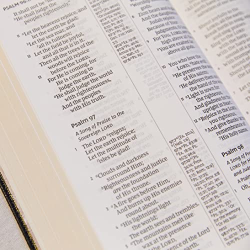 NKJV, Deluxe Reference Bible, Center-Column Giant Print, Leathersoft, Burgundy, Red Letter, Comfort Print: Holy Bible, New King James Version