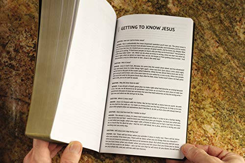 NIV, Holy Bible, Soft Touch Edition, Leathersoft, Brown, Com