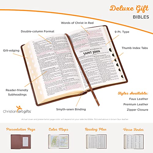 KJV Standard Size LL Brown W/P