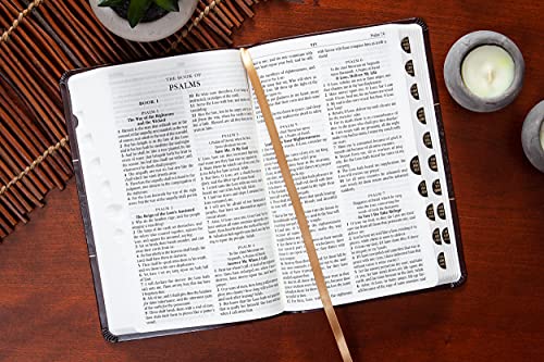 KJV Holy Bible Personal Mulberry: King James Version, Mulberry, Personal, Red Letter