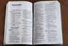 Holy Bible: New International Version, Burgundy, Bonded Leather, Thinline Bible: Red Letter Edition