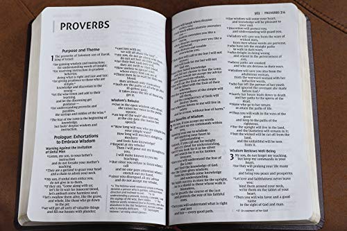 Holy Bible: New International Version, Burgundy, Bonded Leather, Thinline Bible: Red Letter Edition