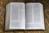 NIV & The Message Parallel Study Bible: Dark Caramel/Black Cherry Italian Duo-Tone