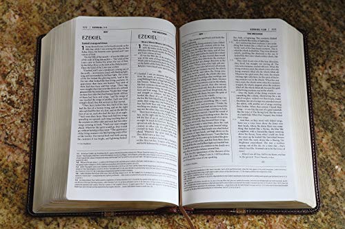 NIV & The Message Parallel Study Bible: Dark Caramel/Black Cherry Italian Duo-Tone