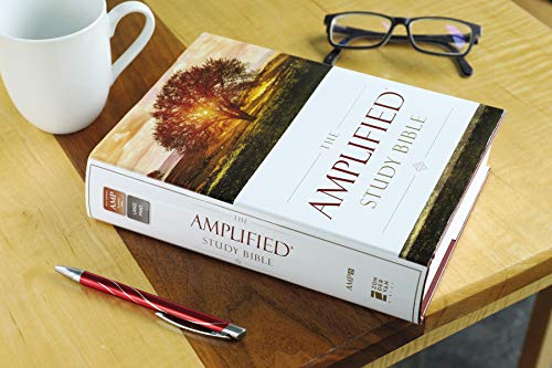 AMPLIFIED STUDY BIBLE HC