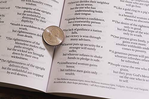 Holy Bible: New International Version, Tan, Italian Duo-tone, Readeasy Bible