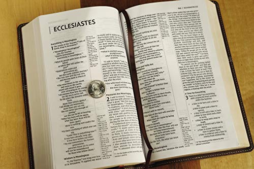 Holy Bible: New International Version, Brown, Leathersoft, Thinline Reference, Comfort Print