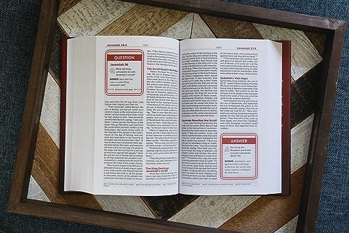NKJV, Teen Study Bible, Hardcover, Comfort Print: NKJV, Teen Study Bible, Comfort Print