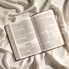 NLT Premium Value Thinline Bible, Filament Enabled Edition (Leatherlike, Dark Brown Cross)