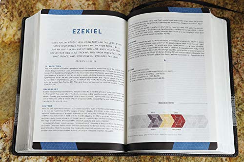 NIV Storyline Bible: New International Version, Black, Leathersoft, Each Story Plays a Part, See How They All Connect