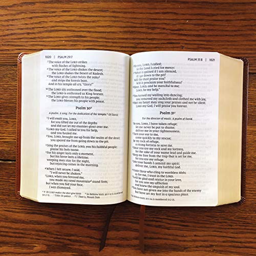 Holy Bible: New International Version, Brown Leathersoft, Giant Print: Red Letter Edition, Comfort Print