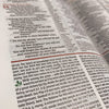 Holy Bible: New International Version, Study Bible (Harper Collins Publishers)