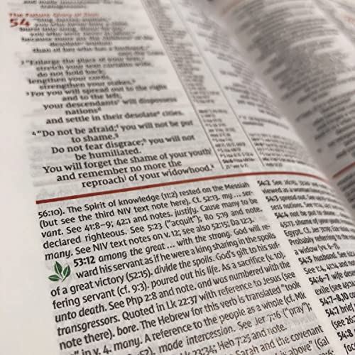 Holy Bible: New International Version, Study Bible (Harper Collins Publishers)