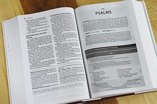 AMPLIFIED STUDY BIBLE HC