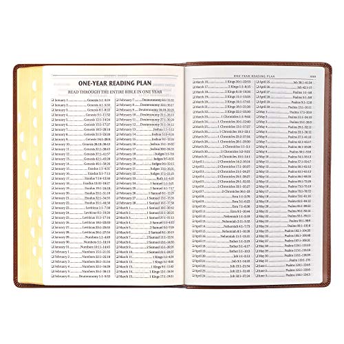 KJV Bible Thinline Brown