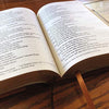Holy Bible: New International Version, Brown Leathersoft, Giant Print: Red Letter Edition, Comfort Print