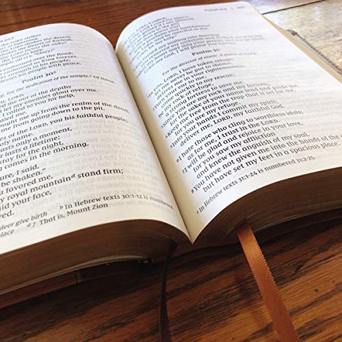 Holy Bible: New International Version, Brown Leathersoft, Giant Print: Red Letter Edition, Comfort Print