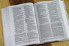 AMPLIFIED STUDY BIBLE HC