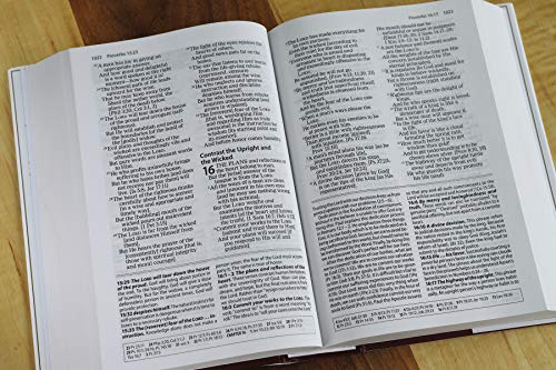 AMPLIFIED STUDY BIBLE HC