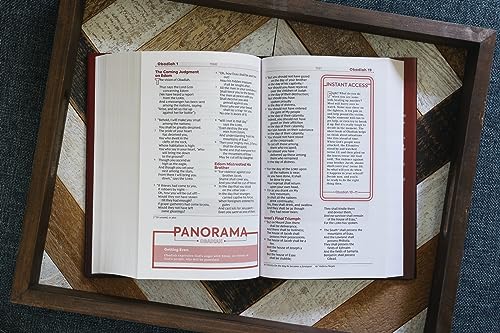 NKJV, Teen Study Bible, Hardcover, Comfort Print: NKJV, Teen Study Bible, Comfort Print
