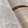 Holy Bible: New International Version, Study Bible (Harper Collins Publishers)
