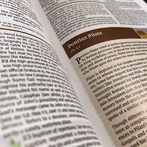 Holy Bible: New International Version, Study Bible (Harper Collins Publishers)