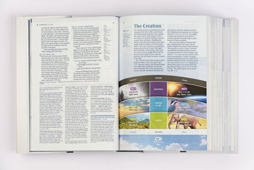 NLT Illustrated Study Bible Tutone Black/Onyx