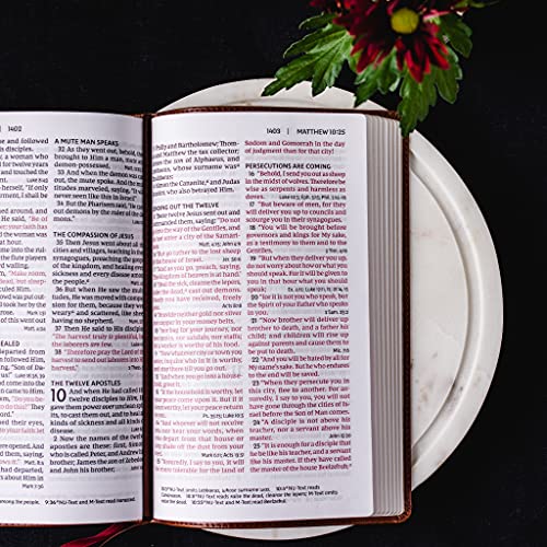 NKJV, End-of-Verse Reference Bible, Personal Size Large Print, Leathersoft, Pink, Red Letter, Comfort Print: Holy Bible, New King James Version