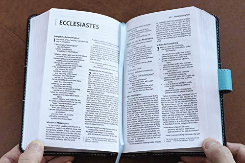Holy Bible: New International Version, Turquoise/Chocolate, Leathersoft, Thinline, Red Letter