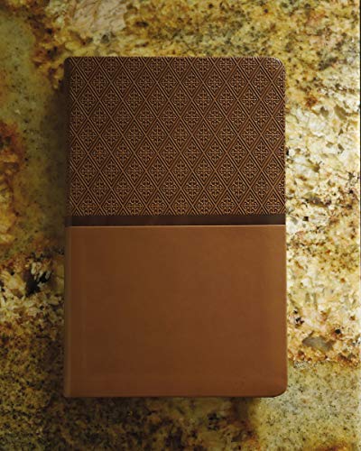 Holy Bible: New International Version, Tan, Italian Duo-tone, Readeasy Bible