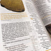 Holy Bible: New International Version, Study Bible (Harper Collins Publishers)
