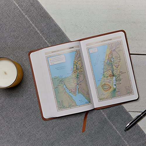 KJV, Value Thinline Bible, Compact, Leathersoft, Brown, Red Letter, Comfort Print: Holy Bible, King James Version