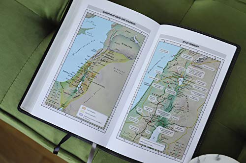 NIV, Personal Size Bible, Large Print, Leathersoft, Black, R