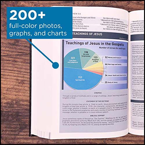 NIV Storyline Bible: New International Version, Black, Leathersoft, Each Story Plays a Part, See How They All Connect